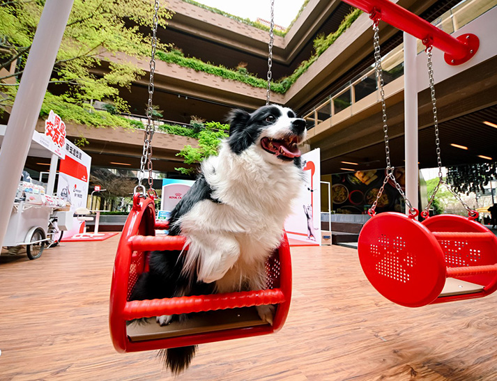 Parque para cães Pawhaven